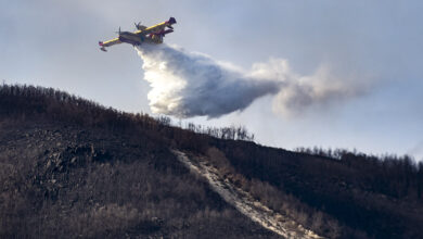 Incendio Forestal