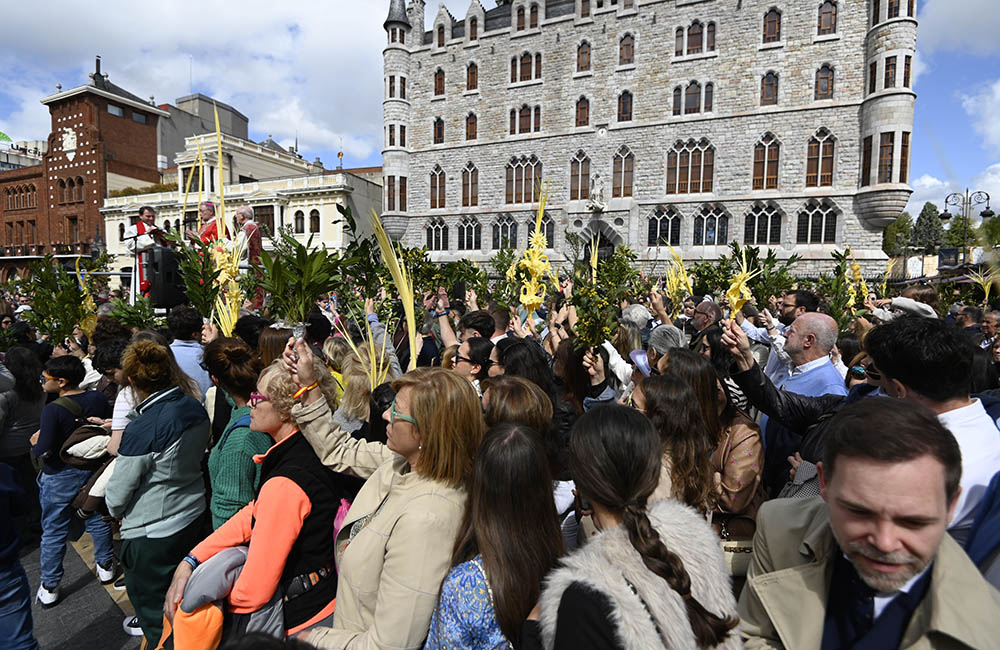 Procesión de las Palmas en León