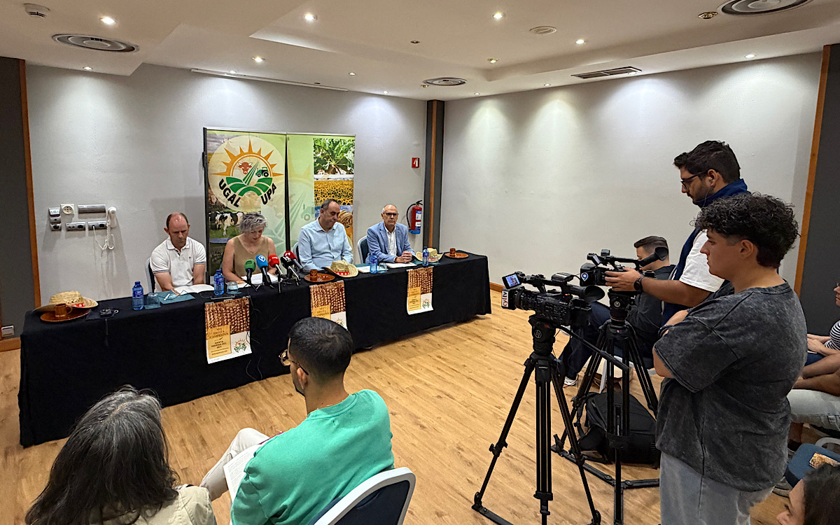 Imagen:S.arén